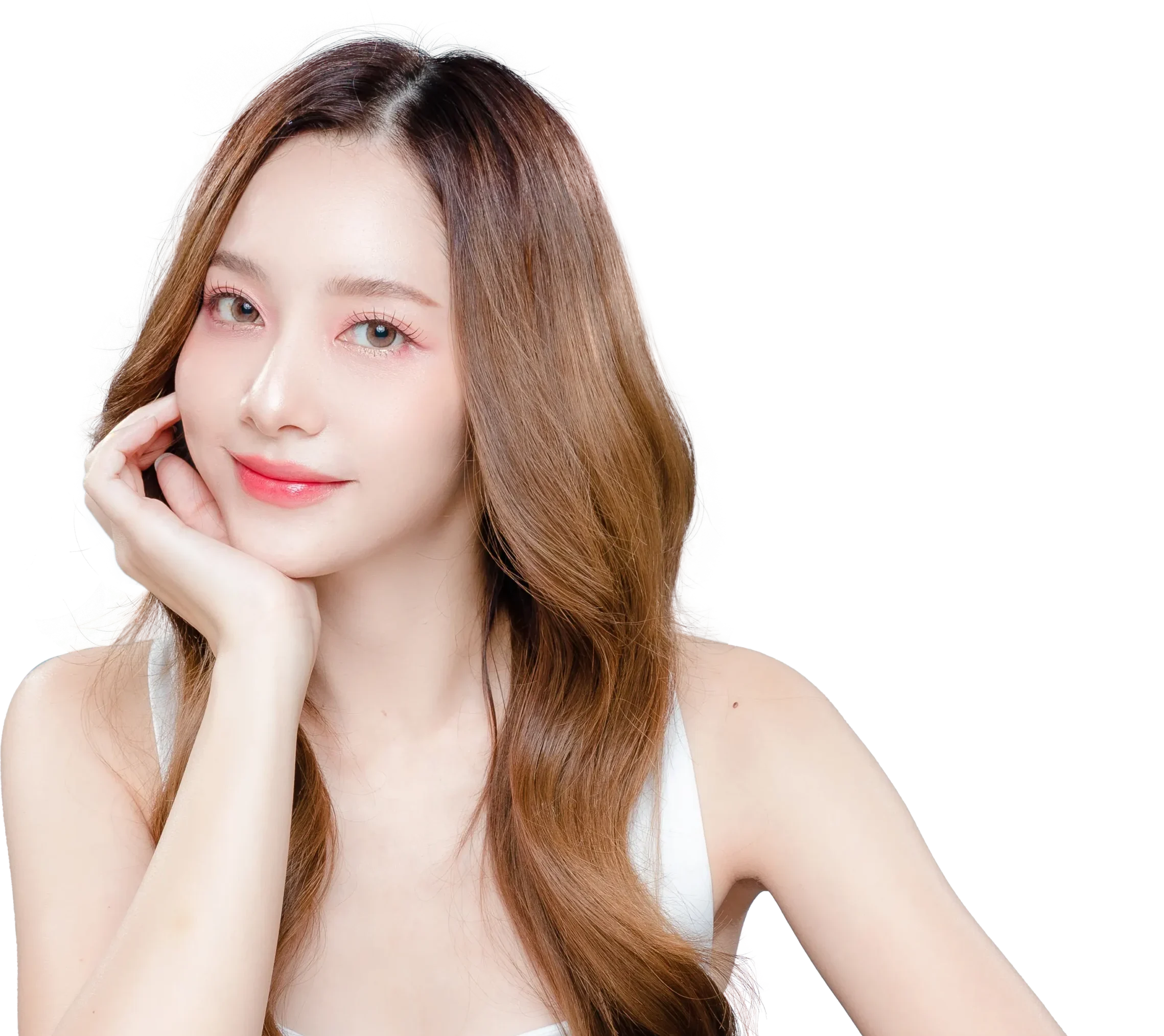 ขายโบท็อกราคาส่ง